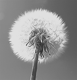 Black&White AirBrush Painting