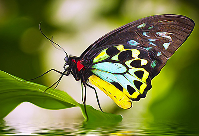 AirBrush Effect