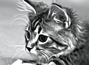 Blurring effect