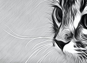 Intense Smoothing